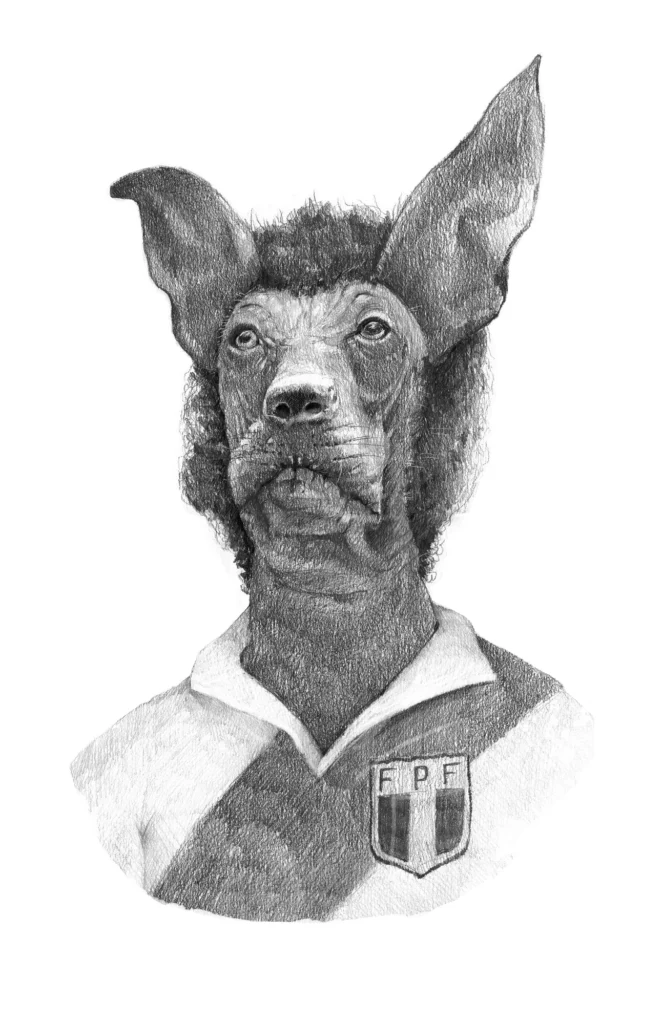 Canebo — print de Rafael Lanfranco